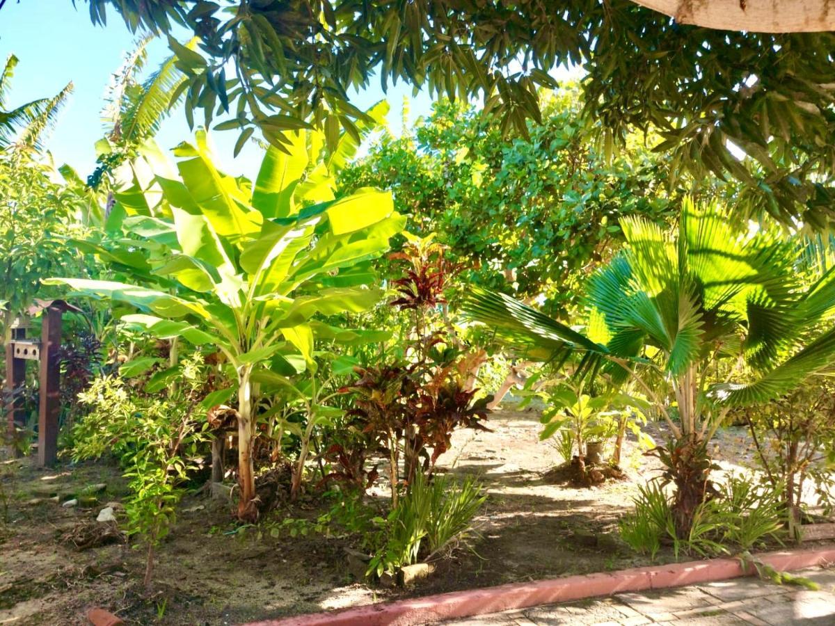 Branca Tropical Brasil Residencial- Taperapuan Βίλα Πόρτο Σεγκούρο Εξωτερικό φωτογραφία